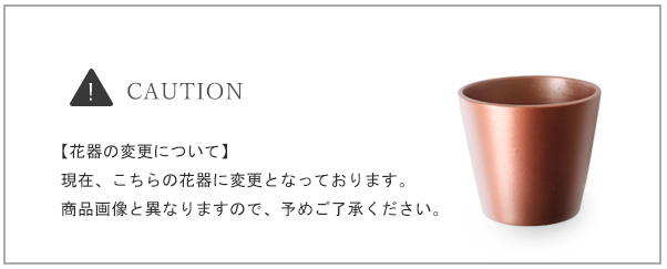 プリザーブドフラワー