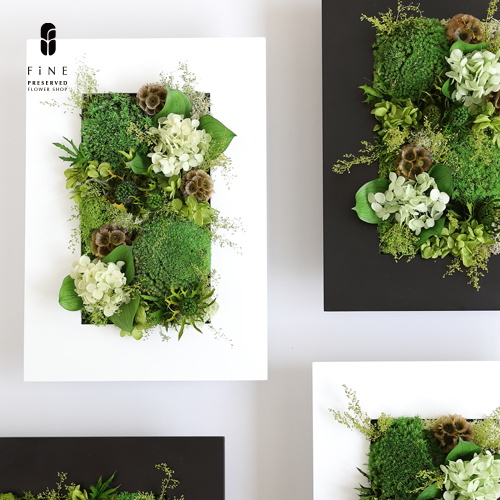 フォレスト(ホワイト・ブラック) - プリザーブドフラワー ギフト