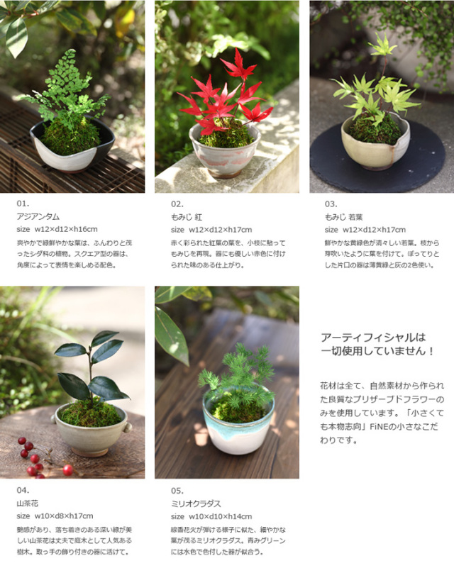 ぷり盆栽【15時迄のご注文であす楽対応】和風アレンジプリザーブドフラワー「ぷり盆栽」盆栽/送料無料