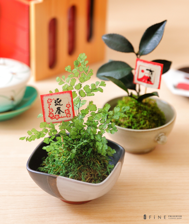 ぷり盆栽 - プリザーブドフラワー ギフト プレゼント 和風 インテリア