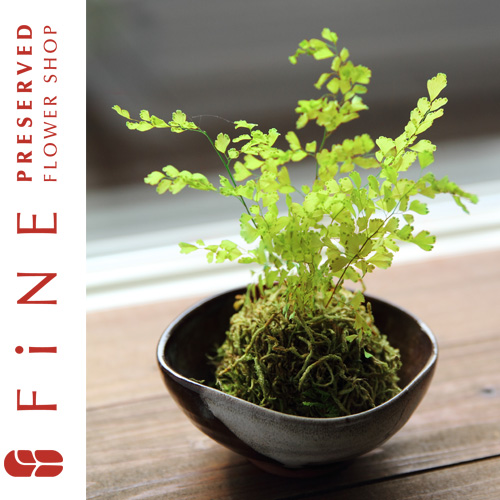 ぷり盆栽 ギフト 和風プリザーブドフラワー インテリアグリーン プレゼント 和室インテリア 観葉植物 送別 記念 有料バッグ S対応
