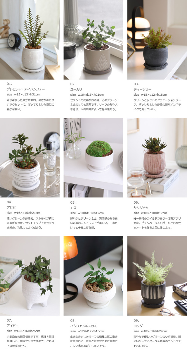 観葉植物 プリザーブドグリーン ギフト グリーンリーブスプレゼント 誕生日 開業祝い 開店祝い 内祝い 新築祝い 引越し祝い インテリア