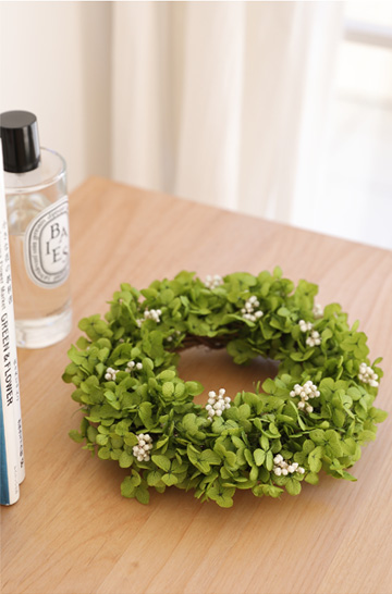 ギフト/花/プレゼント/リース/誕生日/結婚祝い/開店祝い/新築祝い/引越し祝い/インテリア/女友達/枯れない観葉植物ミニおしゃれ/アナベル