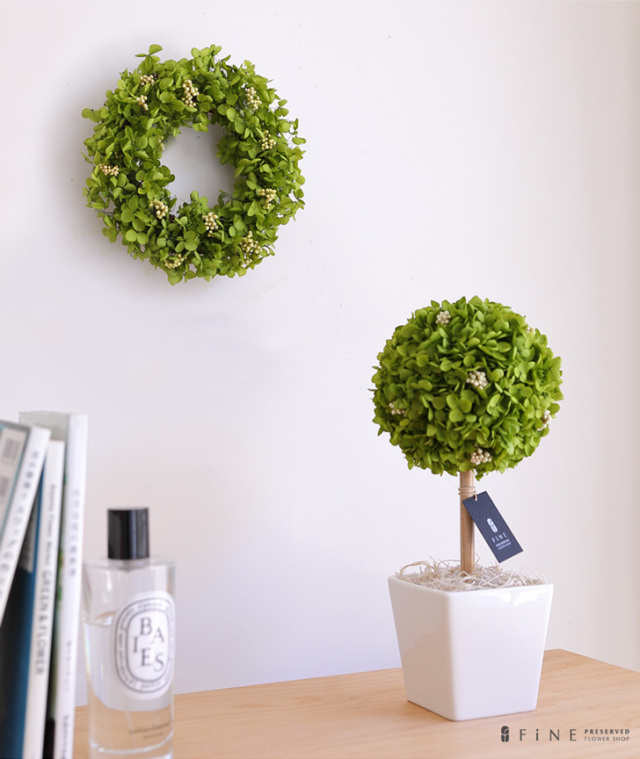 ギフト/花/プレゼント/リース/誕生日/結婚祝い/開店祝い/新築祝い/引越し祝い/インテリア/女友達/枯れない観葉植物ミニおしゃれ/アナベル
