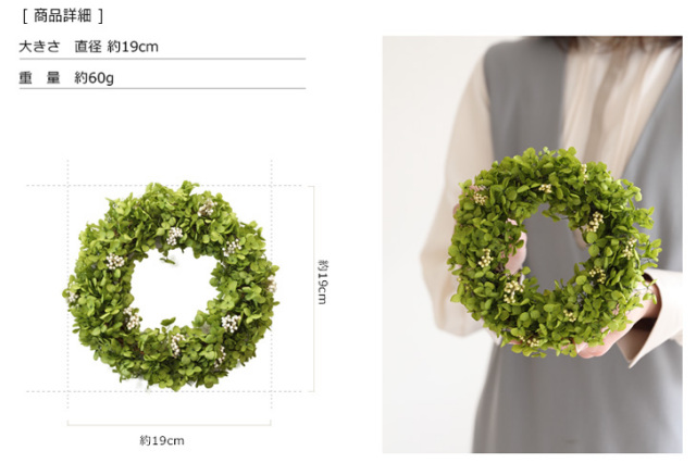 ギフト/花/プレゼント/リース/誕生日/結婚祝い/開店祝い/新築祝い/引越し祝い/インテリア/女友達/枯れない観葉植物ミニおしゃれ/アナベル