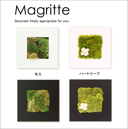 開店祝い 開業祝い 観葉植物