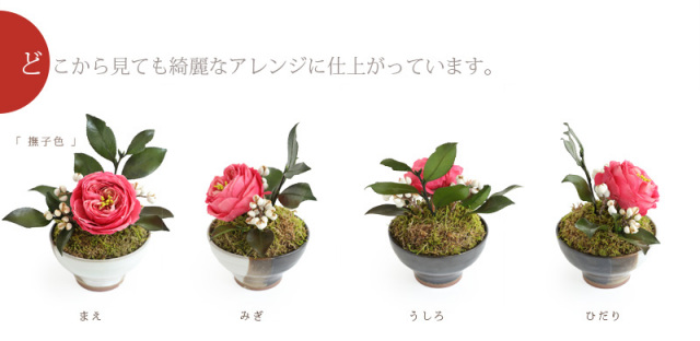 花椿 はなつばき サマー サマーギフト プリザーブドフラワー プレゼント 還暦祝い 長寿祝い プレゼント ギフト 送料無料 有料バッグ M対応 別売り
