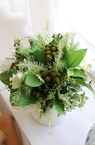 新築祝いに枯れない観葉植物プリザーブドグリーン「グローブ」新築祝いプリザーブドグリーン枯れない観葉植物【送料無料】【あす楽】