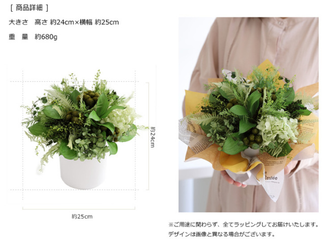 グローブ プリザーブドフラワー ギフト プレゼント インテリアグリーン