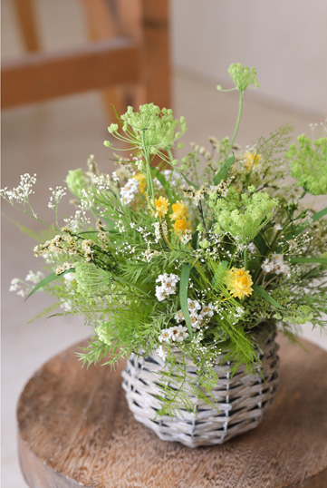 母の日ギフト/結婚祝い/誕生日祝い/送別祝い/退職祝い/開店祝い/周年祝い/ディスプレイ