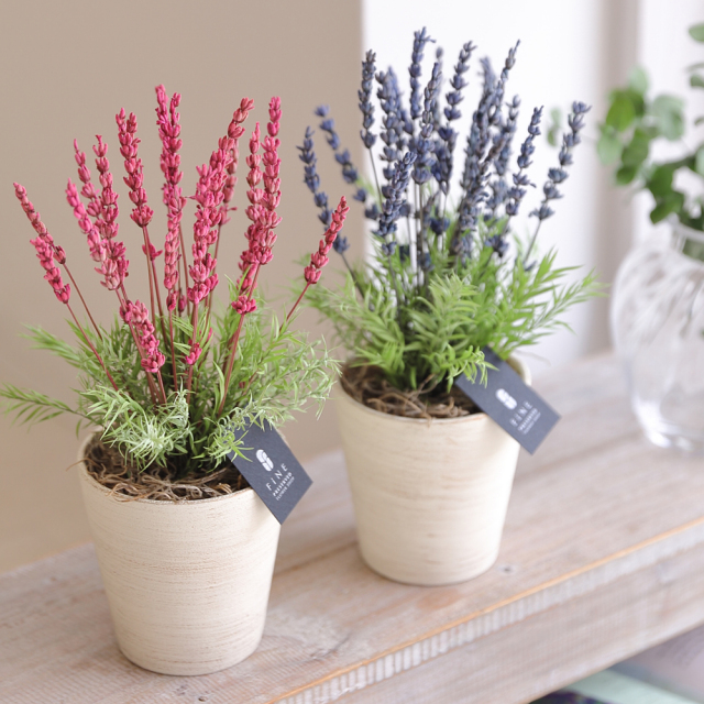 ラベンダー - プリザーブドフラワー 敬老の日 2025 ギフト サマー