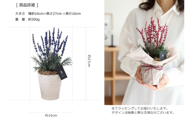 ラベンダー サマー サマーギフト ギフト プリザーブドフラワー 送料無料 プレゼント 誕生日 カジュアル ナチュラル アレンジメント