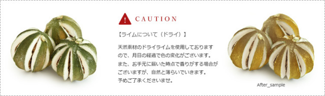 プリザーブドフラワー/ギフト/クリスマス/パーティ/ディスプレイ/インテリア/ドライフラワー/ボタニカルフラワー