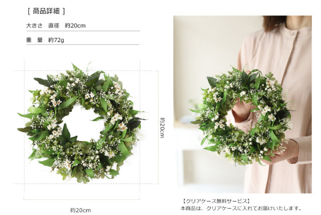 観葉植物/プリザーブドフラワー/インテリグリーン/開店祝い/新築祝い/お誕生日プレゼント/春リース