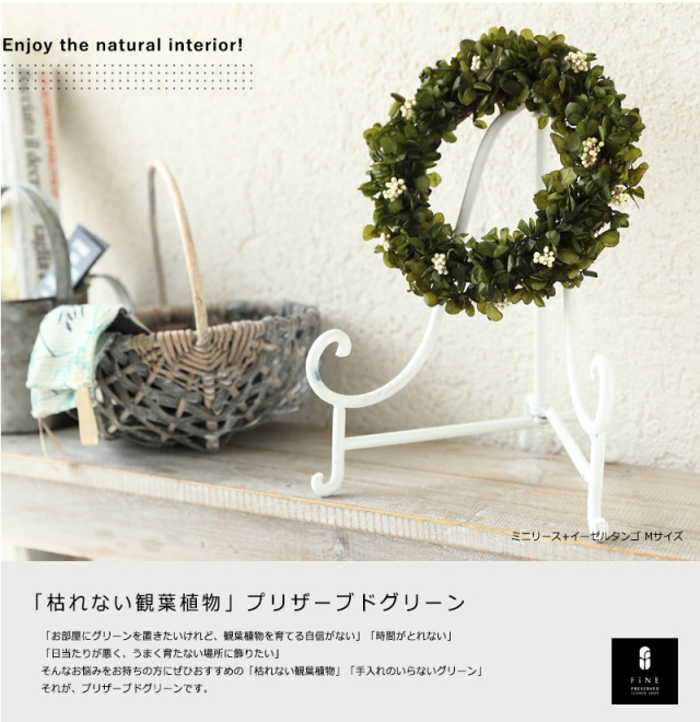 バジルグリーンリース/開業祝い/新築祝い/観葉植物