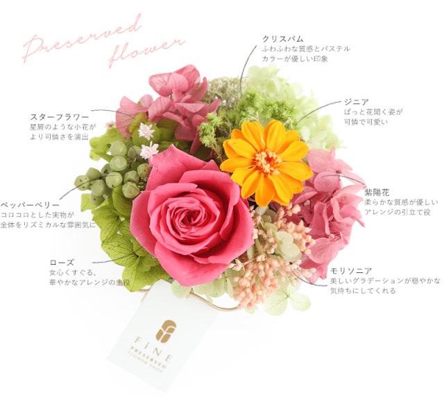 ロゼッタ - プリザーブドフラワー 敬老の日 2025 ギフト 送料無料