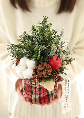 ブリティッシュ・ツリー - プリザーブドフラワー クリスマスツリー