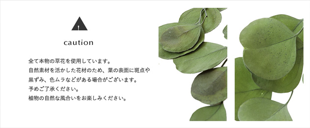 ギフト/プリザーブドフラワー/アレンジメント/ローズ/ギフト/プレゼント/インテリア/ウェディング