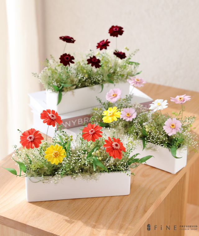 プリザーブドフラワー/アレンジメント/インテリア/ディスプレイ/誕生日/結婚祝い/ローズ/アレンジメント/恋人/ギフト/インテリア