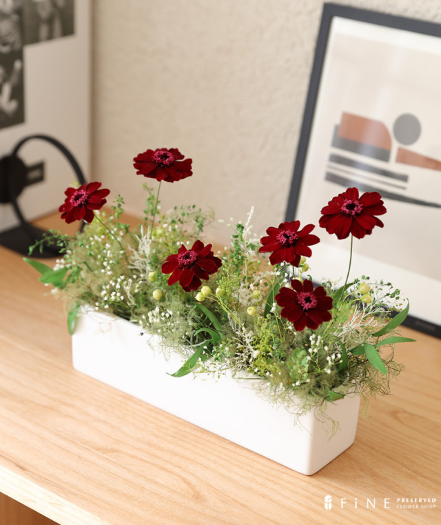 コスモア - プリザーブドフラワー 敬老の日 2025 プレゼント ギフト