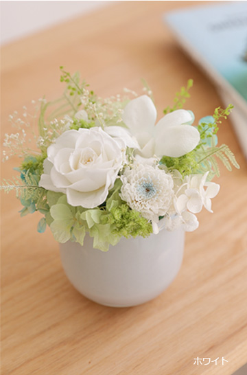 シエル【15時迄の注文であす楽】【送料無料】ギフト/花/プレゼント/アレンジ/御供/お供え花