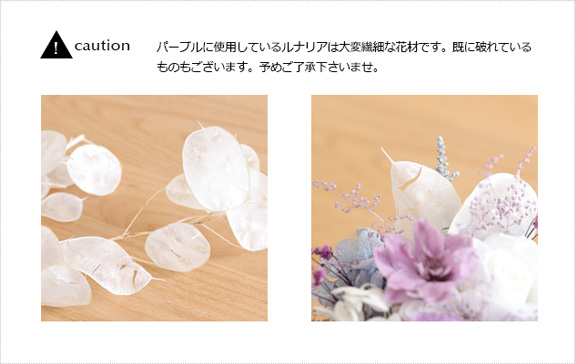 シエル【15時迄の注文であす楽】【送料無料】ギフト/花/プレゼント/アレンジ/御供/お供え花