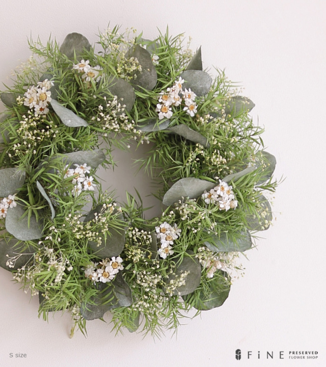 ティーツリー/ギフト/花/プレゼント/誕生日/結婚祝い/開店祝い/内祝い/新築祝い/送別祝い/還暦祝い/引越し祝い/インテリア