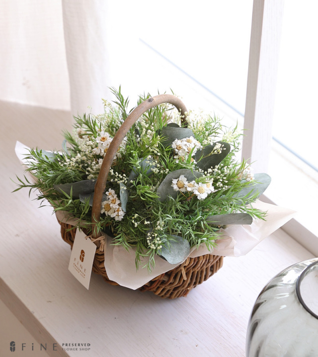 ティーツリー - プリザーブドフラワー 母の日 2025グリーン ギフト