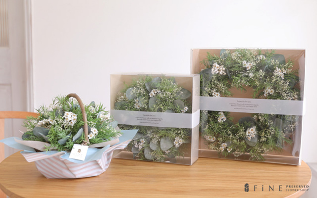 ティーツリー/ギフト/花/プレゼント/誕生日/結婚祝い/開店祝い/内祝い/新築祝い/送別祝い/還暦祝い/引越し祝い/インテリア