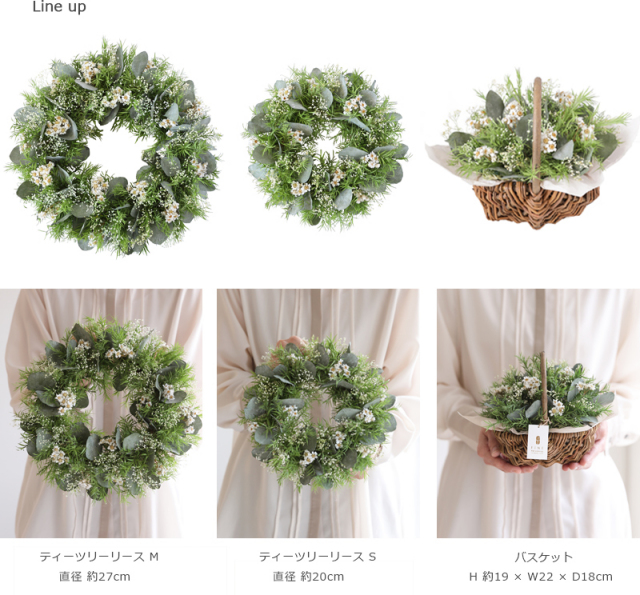 ティーツリー/ギフト/花/プレゼント/誕生日/結婚祝い/開店祝い/内祝い/新築祝い/送別祝い/還暦祝い/引越し祝い/インテリア