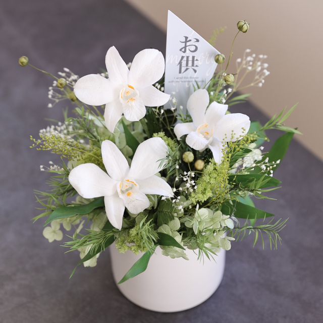 お供え/さくら/ギフト/花/プレゼント/誕生日/結婚祝い/開店祝い/内祝い/新築祝い/送別祝い/還暦祝い/引越し祝い