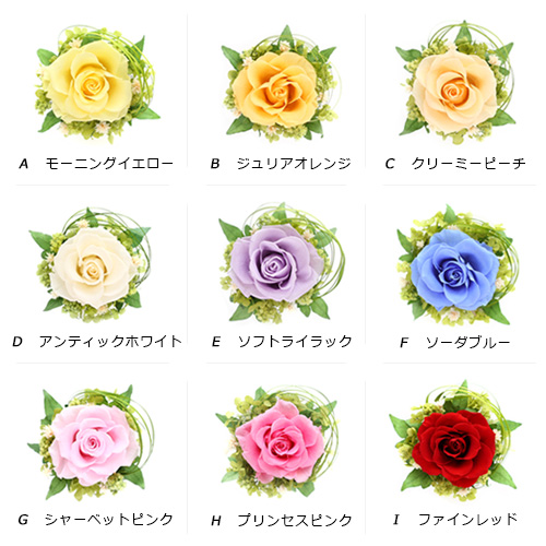 プチローズ - プリザーブドフラワー 母の日 2025花 プレゼント