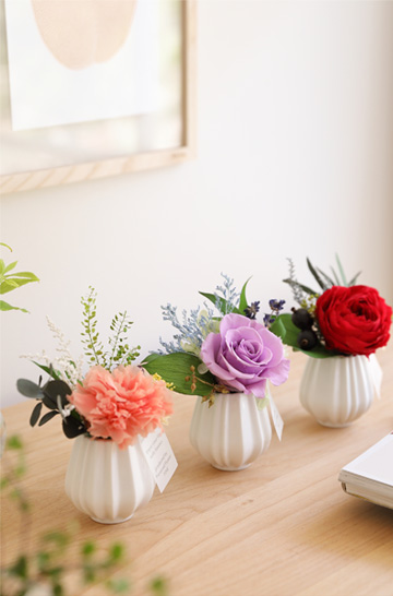 プリモ/ギフト/花/プリザーブドフラワー/新築祝い/誕生日/誕生日/新築祝い/誕生日祝い/お誕生日祝い/新築祝い/引越し祝い