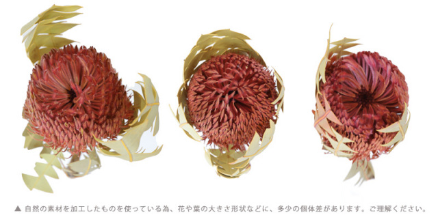 ドライフラワー