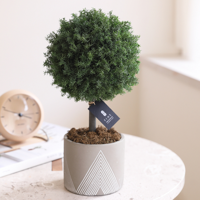 枯れない観葉植物インテリアプリザーブドグリーン／グリーンボールトピアリーギフト枯れない観葉植物インテリア