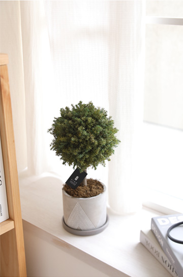 枯れない観葉植物インテリアプリザーブドグリーン／グリーンボールトピアリーギフト枯れない観葉植物インテリア