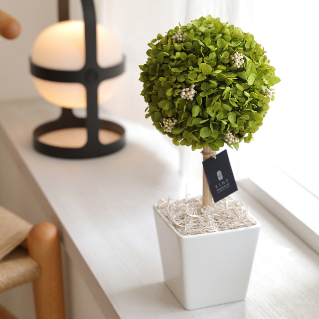 枯れない観葉植物/インテリアグリーン・アナベルトピアリープリザーブドフラワー/誕生日/新築祝い/お返し/引越し祝い/観葉植物