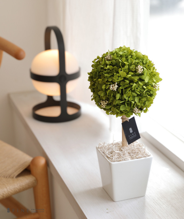 アナベルトピアリー - インテリアグリーン インドアグリーン 枯れない