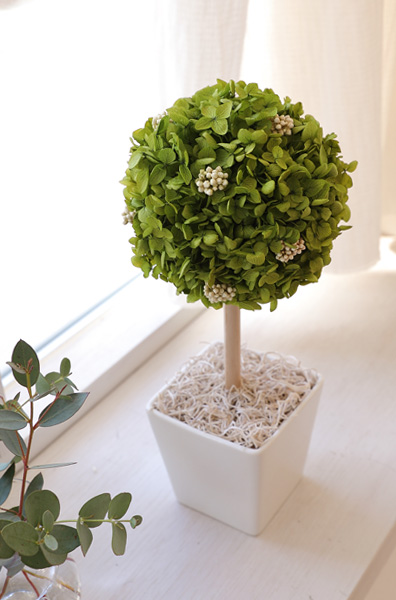 枯れない観葉植物/インテリアグリーン・アナベルトピアリープリザーブドフラワー/誕生日/新築祝い/お返し/引越し祝い/観葉植物