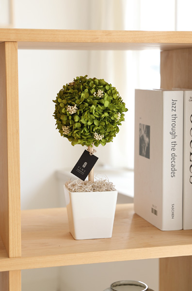 枯れない観葉植物/インテリアグリーン・アナベルトピアリープリザーブドフラワー/誕生日/新築祝い/お返し/引越し祝い/観葉植物