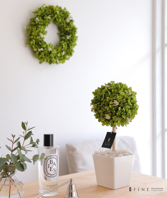 枯れない観葉植物/インテリアグリーン・アナベルトピアリープリザーブドフラワー/誕生日/新築祝い/お返し/引越し祝い/観葉植物