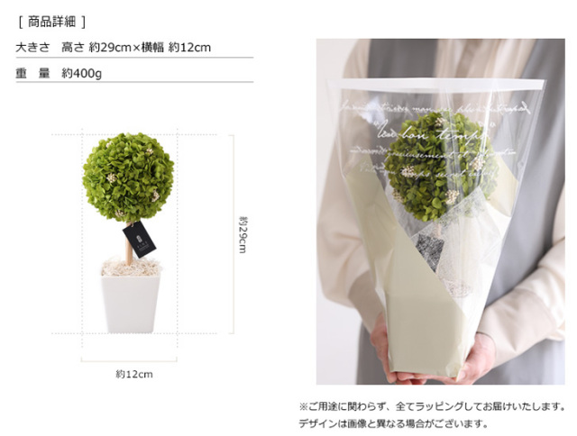 枯れない観葉植物/インテリアグリーン・アナベルトピアリープリザーブドフラワー/誕生日/新築祝い/お返し/引越し祝い/観葉植物