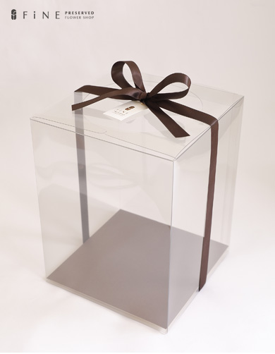 クリアケースL2サイズ