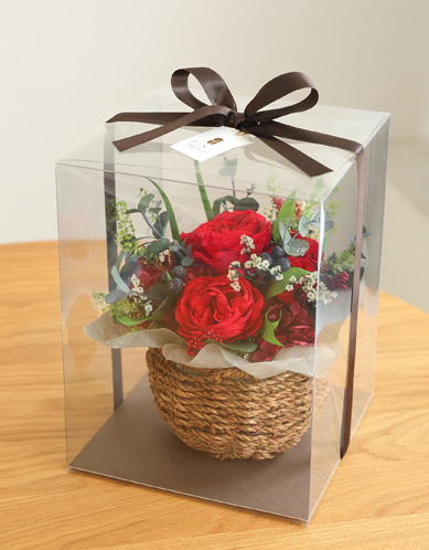 クリアケースL2サイズ