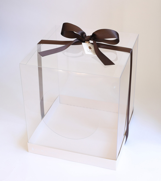 クリアケースLLサイズ