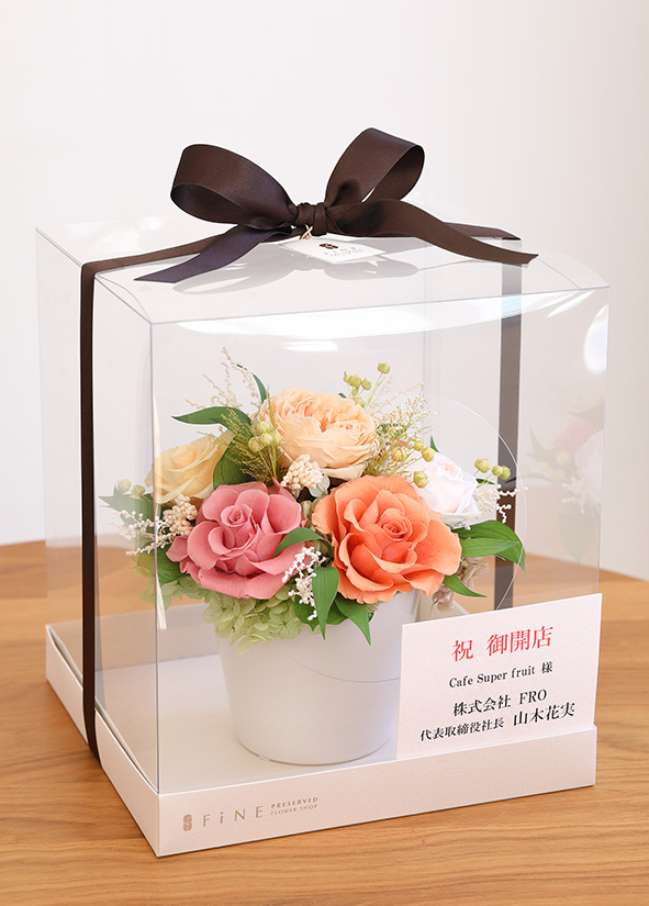 クリアケースLLサイズ