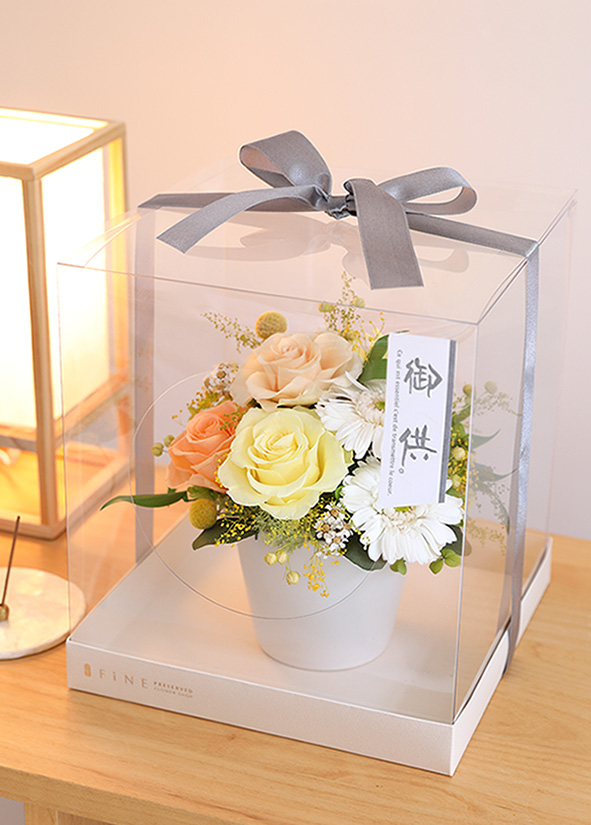 クリアケースLLサイズ