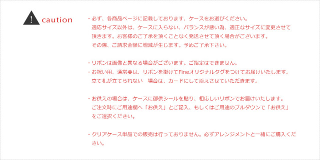 クリアケースLLサイズ