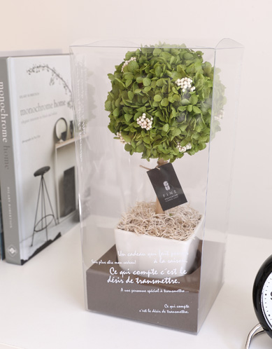 クリアケースLLサイズ