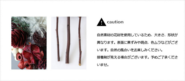 テールリードブルーム/インテリア